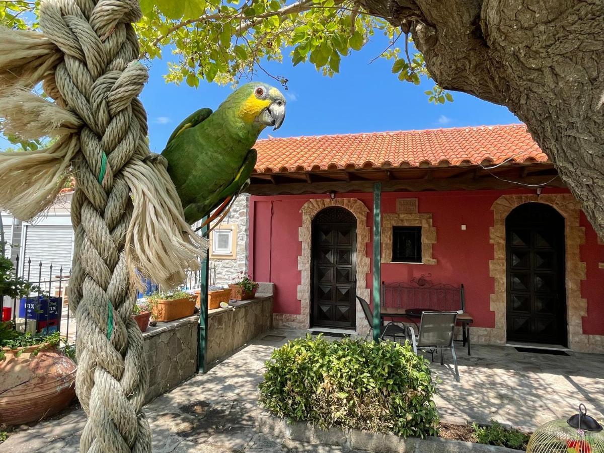 Terracotta Boutique Beach Studios Mithimna Extérieur photo